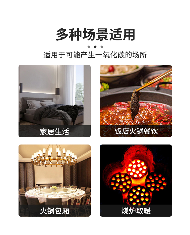 ls-858-30-独立式一氧化碳报警器-5_09